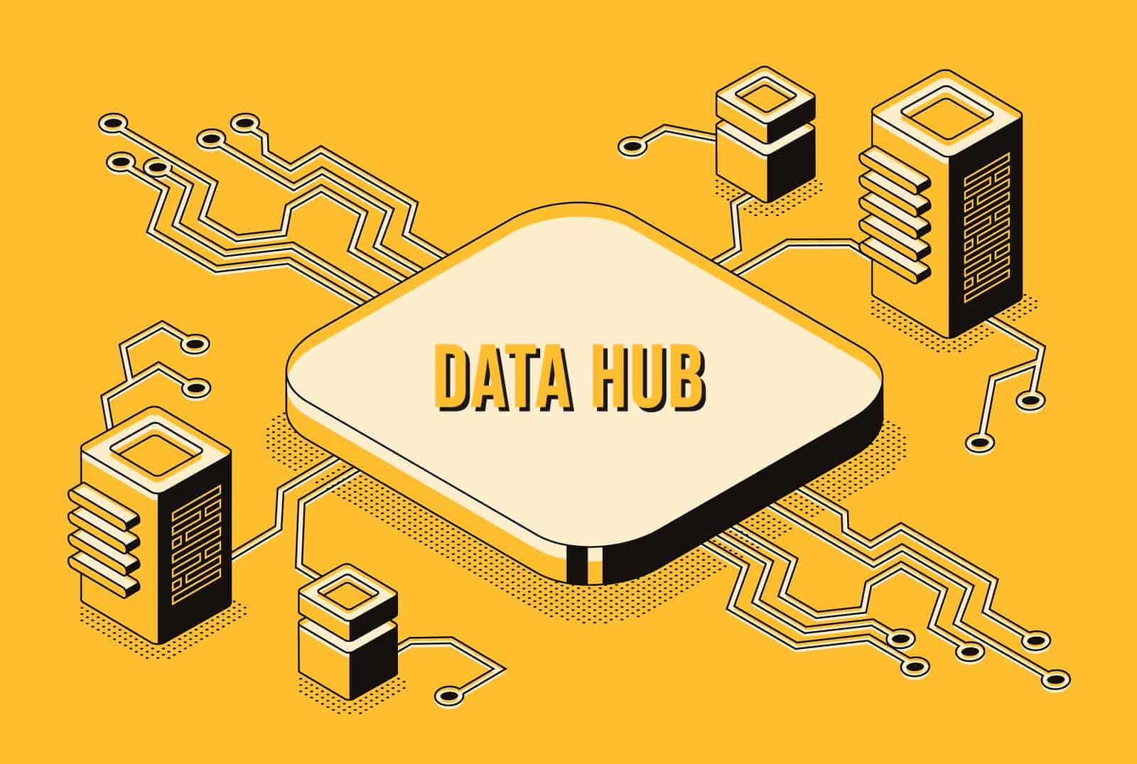 Data Hub 101